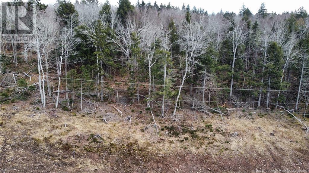 Lot 21-56 Orchard Avenue, Irishtown, New Brunswick  E1H 0J5 - Photo 3 - M135545