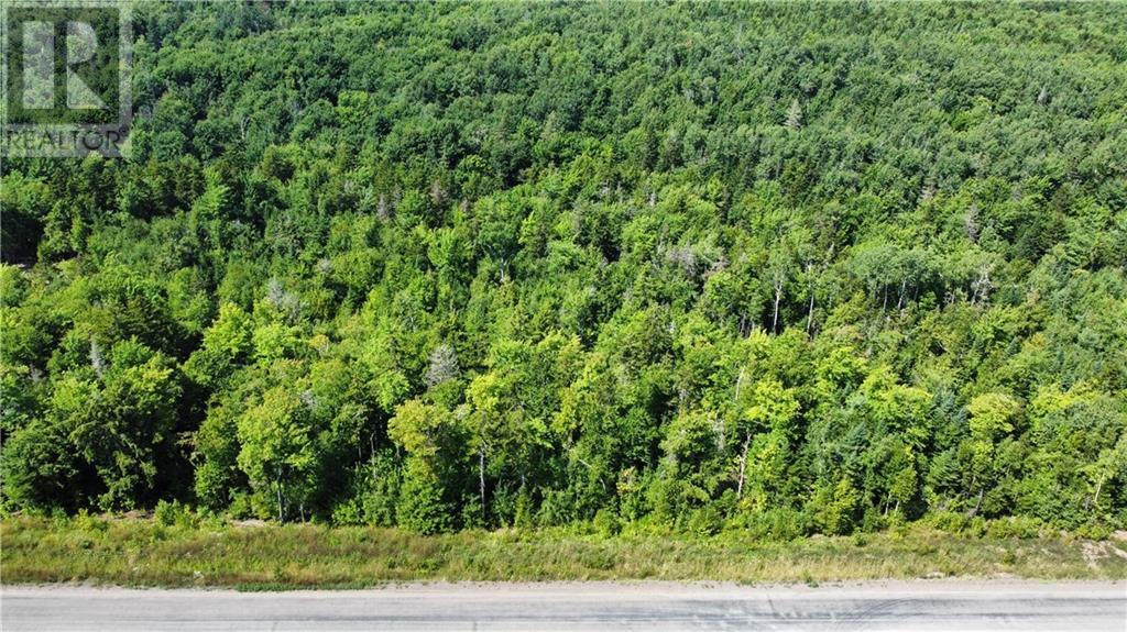 Lot 21-40 Orchard Avenue, Irishtown, New Brunswick  E1H 0J5 - Photo 1 - M135564