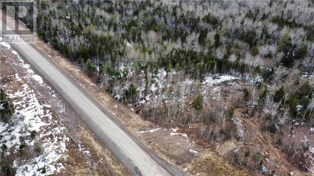 Lot 21-40 Orchard Avenue, Irishtown, New Brunswick  E1H 0J5 - Photo 8 - M135564