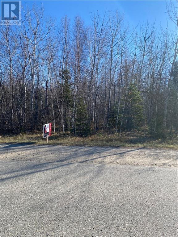 8.15 Acres King Street, Miramichi, New Brunswick  E1N 2N8 - Photo 5 - NB064296