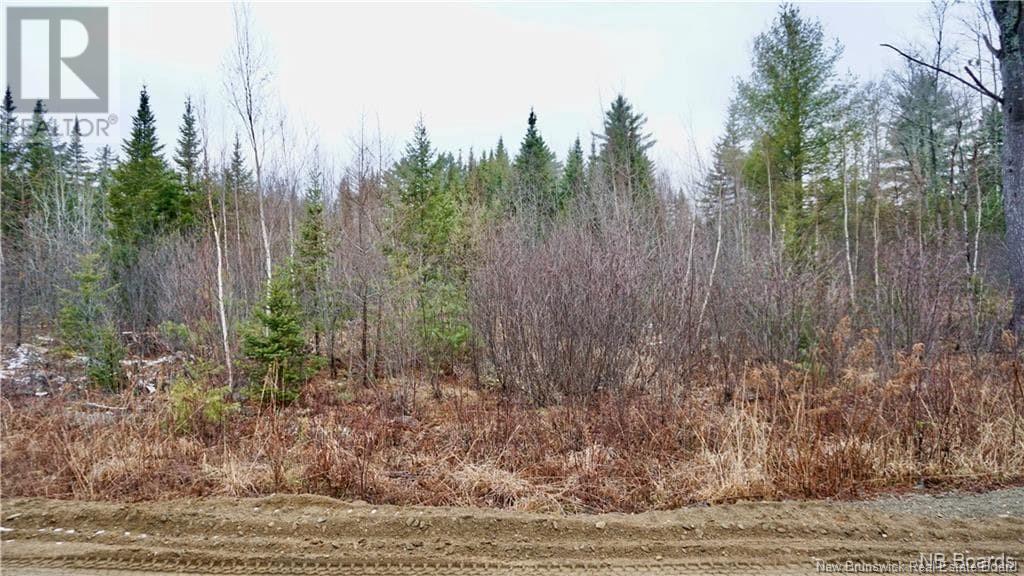 Lot # 7 Route 740, Heathland, New Brunswick  E3L 5C1 - Photo 10 - NB069265