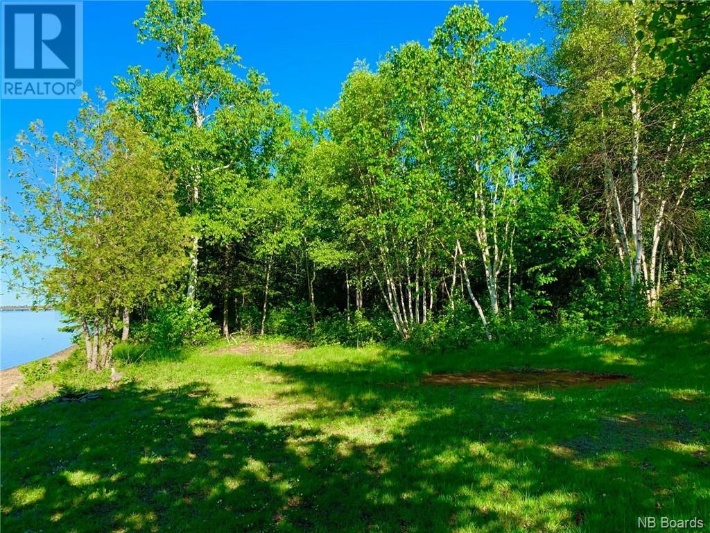 5.6 Acres Rte 420, South Esk, New Brunswick  E1V 4M2 - Photo 10 - NB074384