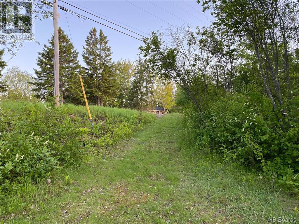 5.6 Acres Rte 420, South Esk, New Brunswick  E1V 4M2 - Photo 9 - NB074384