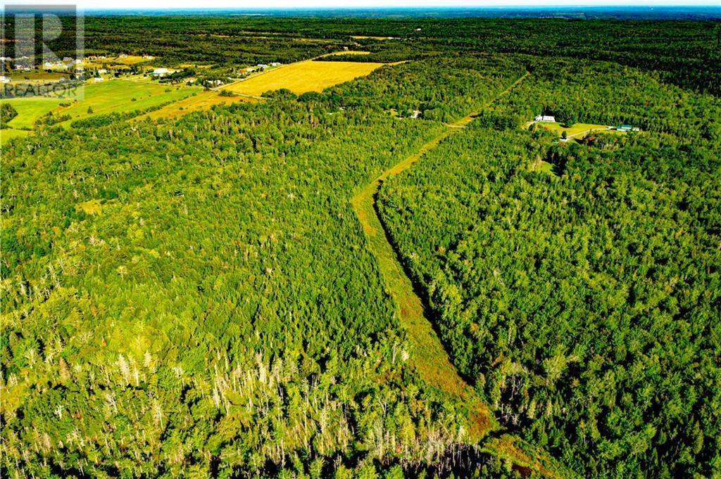 Lot Scotch Settlement, Scotch Settlement, New Brunswick  E1H 1R5 - Photo 4 - M146637