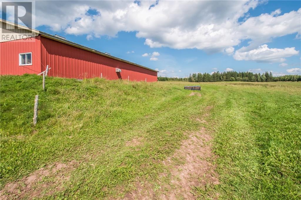 229 Hicks Settlement Road, Hicks Settlement, New Brunswick  E4Z 5B6 - Photo 10 - M146902