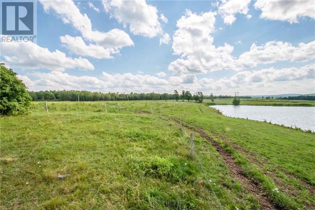 229 Hicks Settlement Road, Hicks Settlement, New Brunswick  E4Z 5B6 - Photo 17 - M146902