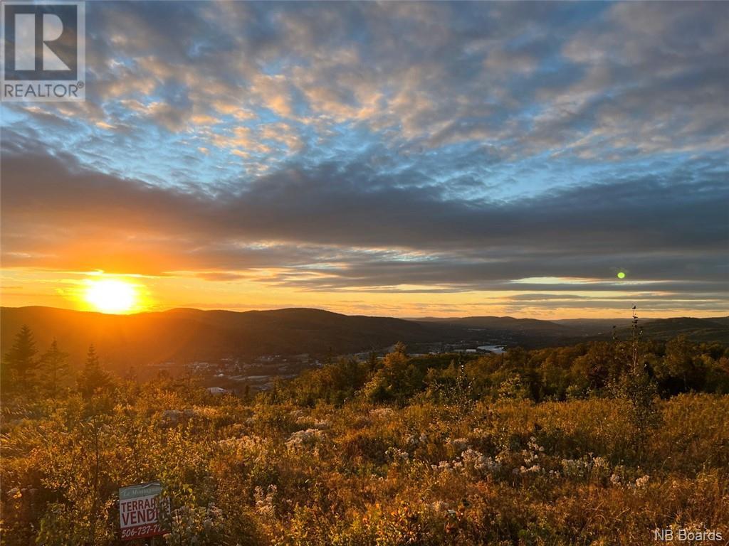 Lot 33 Rue De La Falaie, Edmundston, New Brunswick  E3V 0G8 - Photo 3 - NB079262