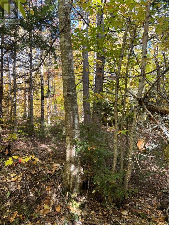 Lot Scotch Settlement Road, Irishtown, New Brunswick  E1H 1R1 - Photo 18 - M147615