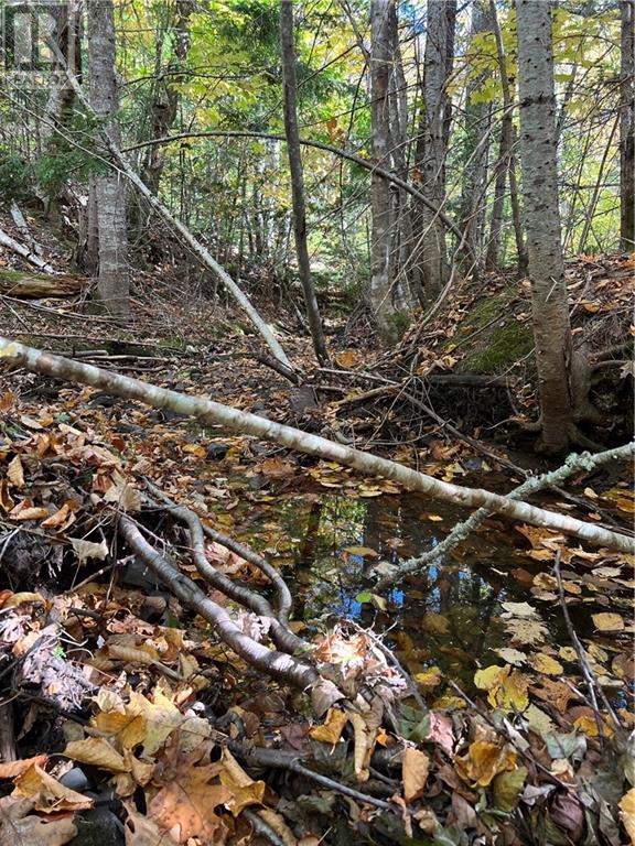 Lot Scotch Settlement Road, Irishtown, New Brunswick  E1H 1R1 - Photo 19 - M147615