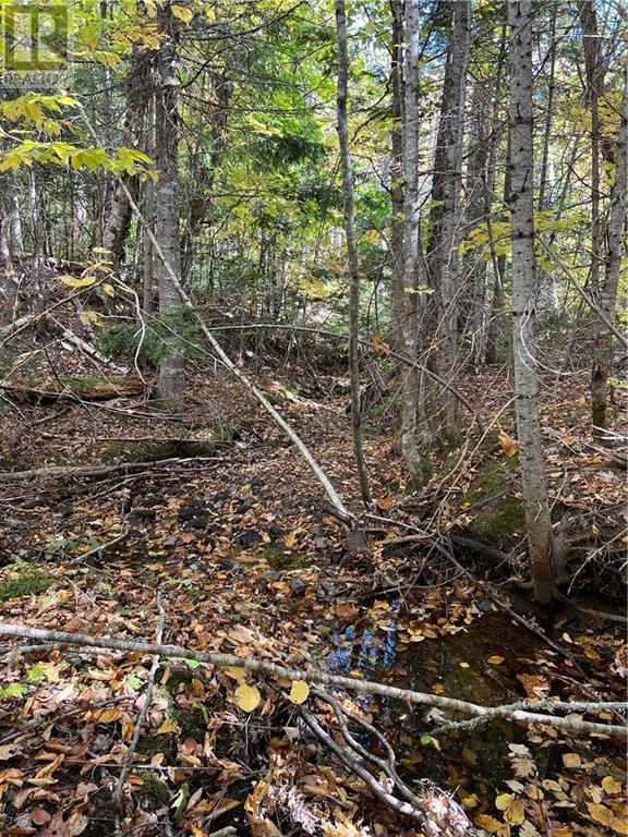 Lot Scotch Settlement Road, Irishtown, New Brunswick  E1H 1R1 - Photo 21 - M147615