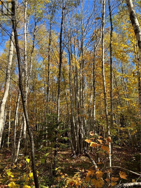 Lot Scotch Settlement Road, Irishtown, New Brunswick  E1H 1R1 - Photo 24 - M147615