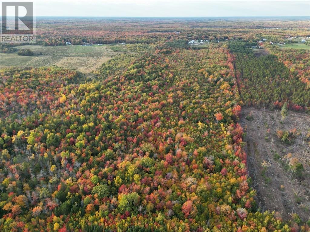 Lot Scotch Settlement Road, Irishtown, New Brunswick  E1H 1R1 - Photo 5 - M147615