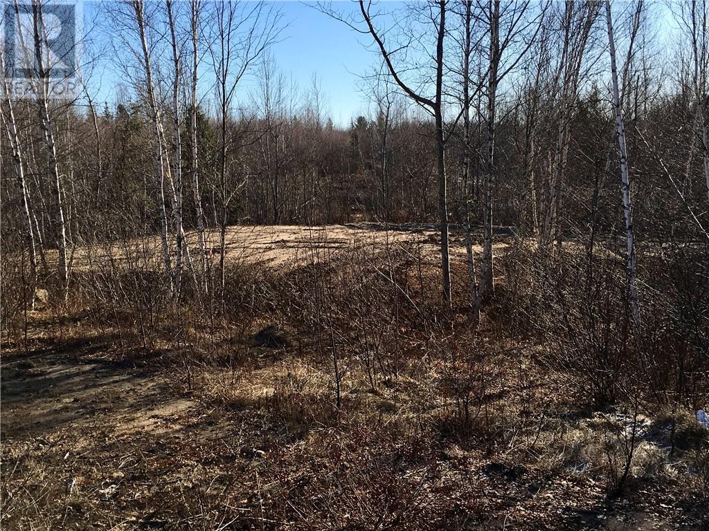 22-4 Edmond, Cocagne, New Brunswick  E4R 2Z3 - Photo 8 - M148987