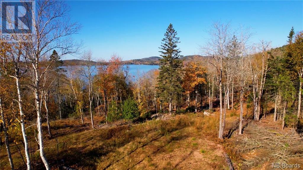 Lot 2021-02 Frye Road, Chamcook, New Brunswick  E5B 0C3 - Photo 1 - NB081814