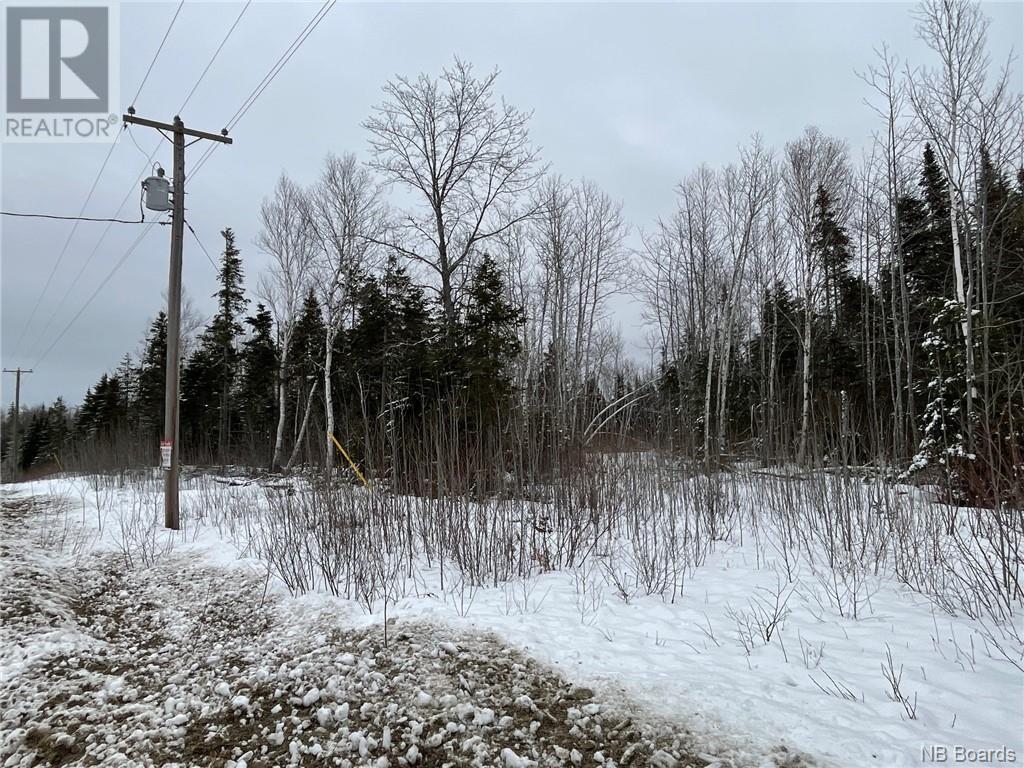 Oldfield Road, Bartibog, New Brunswick  E1V 6L4 - Photo 10 - NB082894