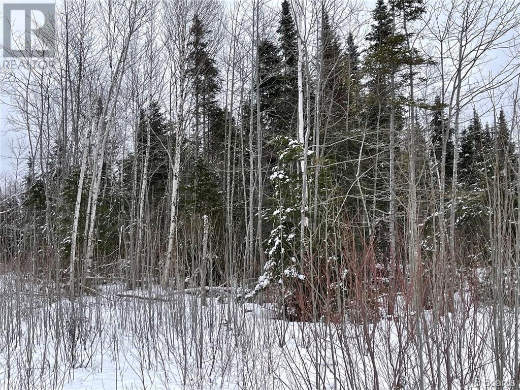 Oldfield Road, Bartibog, New Brunswick  E1V 6L4 - Photo 11 - NB082894