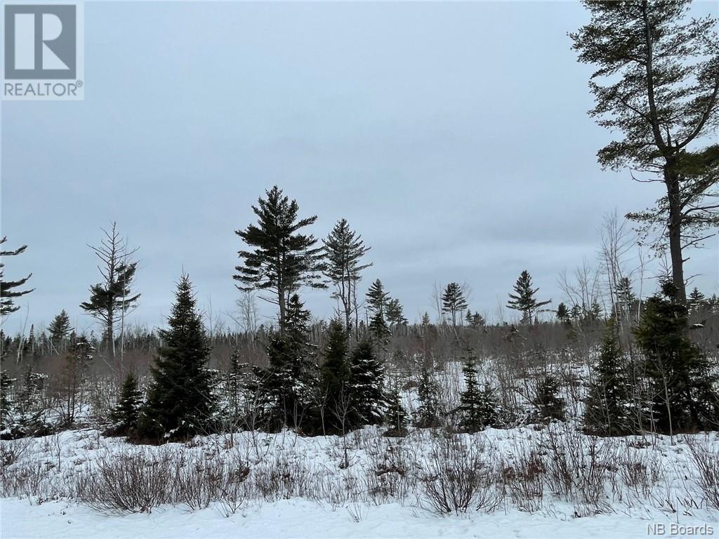 Oldfield Road, Bartibog, New Brunswick  E1V 6L4 - Photo 13 - NB082894