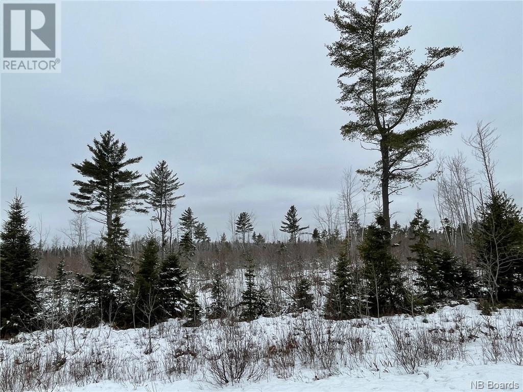 Oldfield Road, Bartibog, New Brunswick  E1V 6L4 - Photo 15 - NB082894