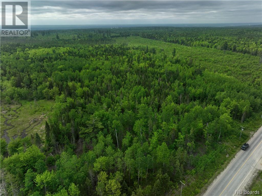 Oldfield Road, Bartibog, New Brunswick  E1V 6L4 - Photo 5 - NB082894