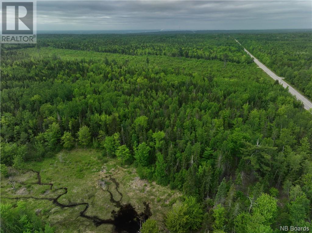 Oldfield Road, Bartibog, New Brunswick  E1V 6L4 - Photo 7 - NB082894