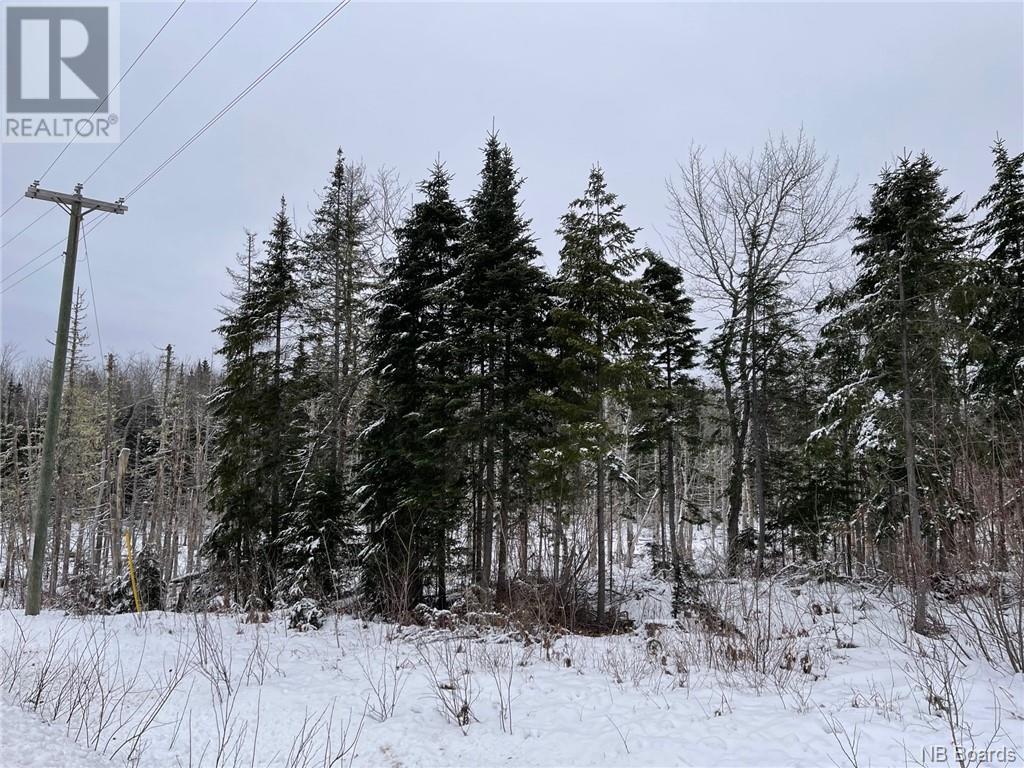 Oldfield Road, Bartibog, New Brunswick  E1V 6L4 - Photo 8 - NB082894