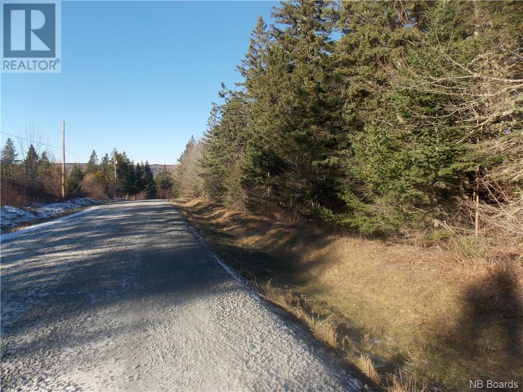 0 Collier Mountain Road, Elgin, New Brunswick  E4Z 1R6 - Photo 2 - NB084038