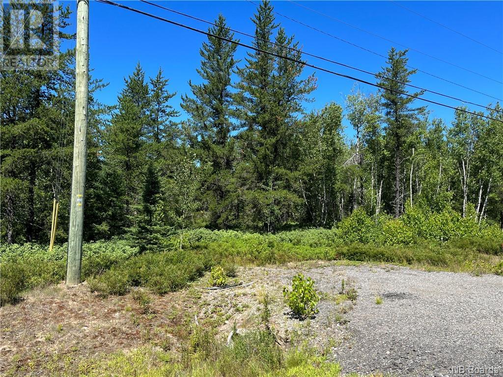 +/- 6.5 Acres Rte 126, Collette, New Brunswick  E4Y 2T4 - Photo 2 - NB084479