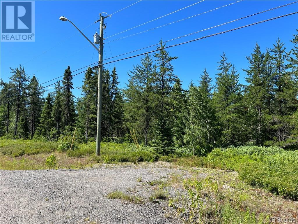 +/- 6.5 Acres Rte 126, Collette, New Brunswick  E4Y 2T4 - Photo 3 - NB084479