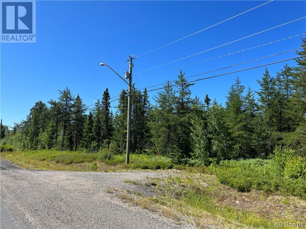 +/- 6.5 Acres Rte 126, Collette, New Brunswick  E4Y 2T4 - Photo 6 - NB084479