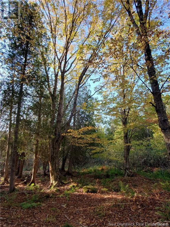 Lot 23-02 Alpenglow Drive, Quispamsis, New Brunswick  E2G 0J7 - Photo 18 - NB084486