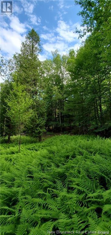 Lot 23-02 Alpenglow Drive, Quispamsis, New Brunswick  E2G 0J7 - Photo 20 - NB084486