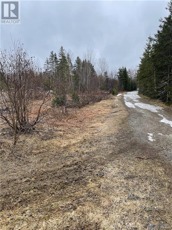 Lot Laurenzo Huard, Saint-Jean-Baptiste-De-Restigouche, New Brunswick  E8B 1X7 - Photo 2 - NB086575