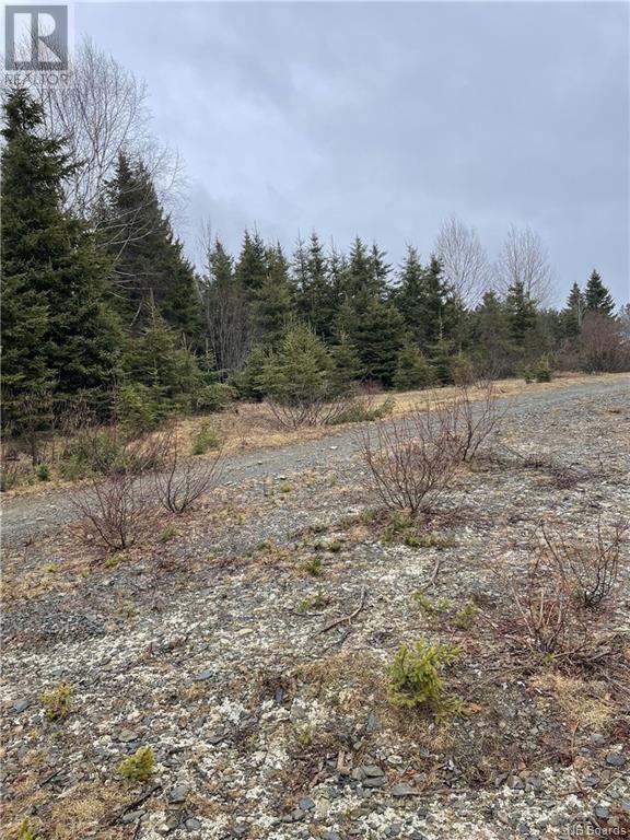 Lot Laurenzo Huard, Saint-Jean-Baptiste-De-Restigouche, New Brunswick  E8B 1X7 - Photo 3 - NB086575