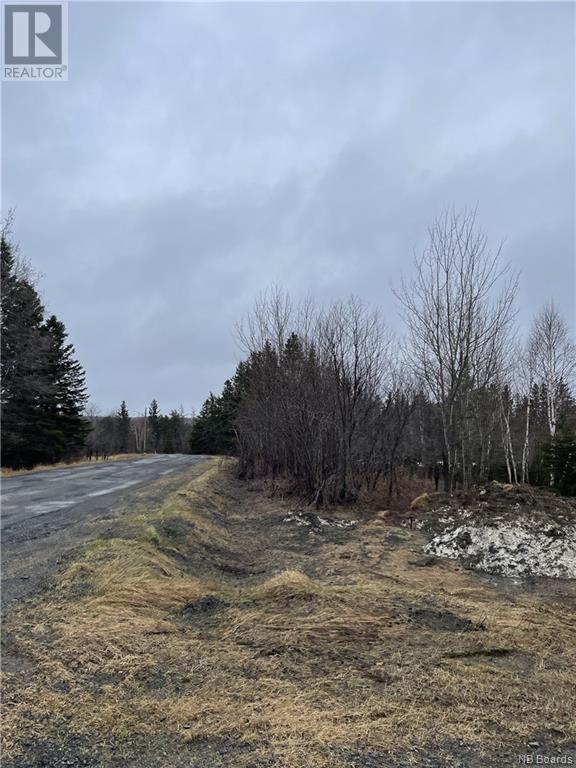 Lot Laurenzo Huard, Saint-Jean-Baptiste-De-Restigouche, New Brunswick  E8B 1X7 - Photo 8 - NB086575