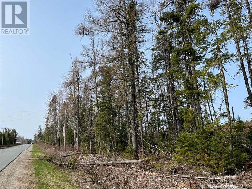 Lot 01 Beaverbrook Road, Miramichi, New Brunswick  E1V 0H9 - Photo 2 - NB086735