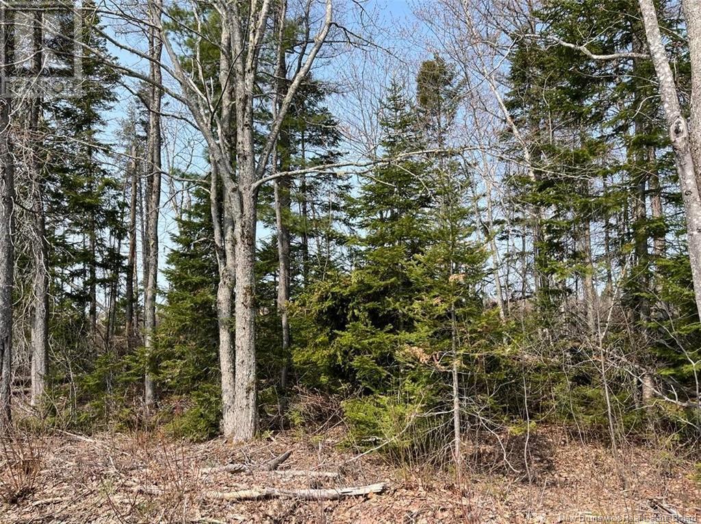 Lot 01 Beaverbrook Road, Miramichi, New Brunswick  E1V 0H9 - Photo 3 - NB086735