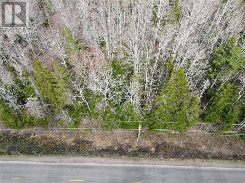 Lot 73-5 Route 490, Mcquade, New Brunswick  E1G 3J3 - Photo 6 - M152687