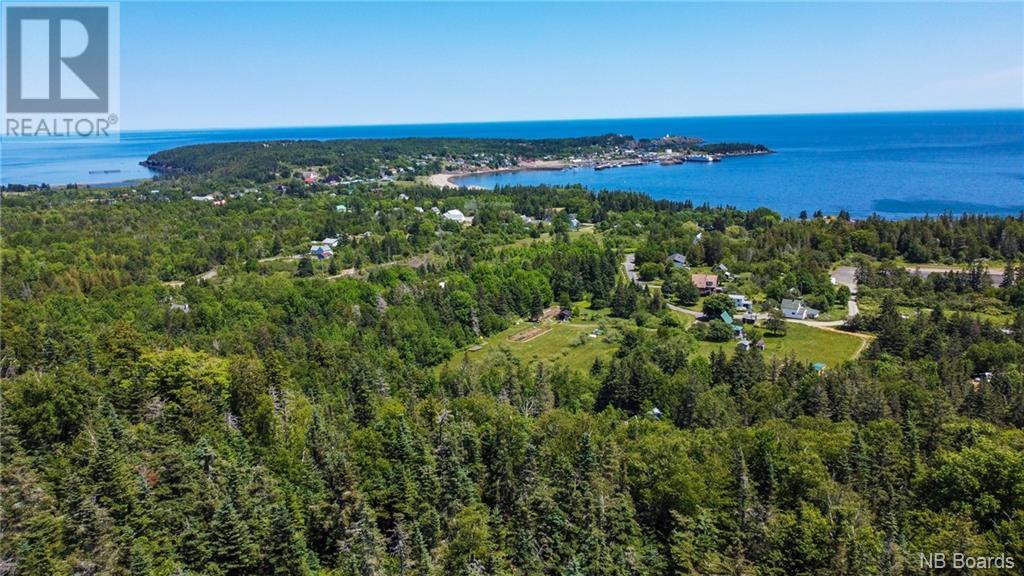 60 Ohio Pond Road, Grand Manan, New Brunswick  E5G 4B4 - Photo 16 - NB087604