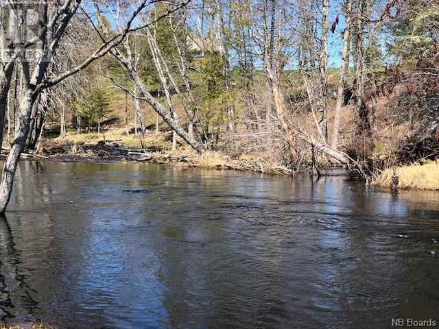 -- Wells Brook Road, Black River Bridge, New Brunswick  E1N 5S7 - Photo 1 - NB087617