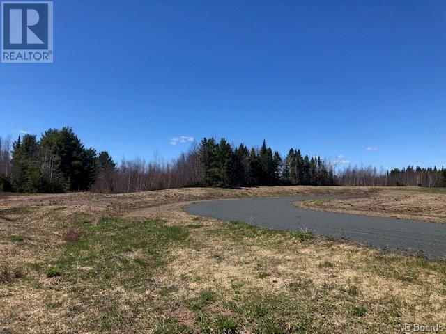 -- Wells Brook Road, Black River Bridge, New Brunswick  E1N 5S7 - Photo 11 - NB087617