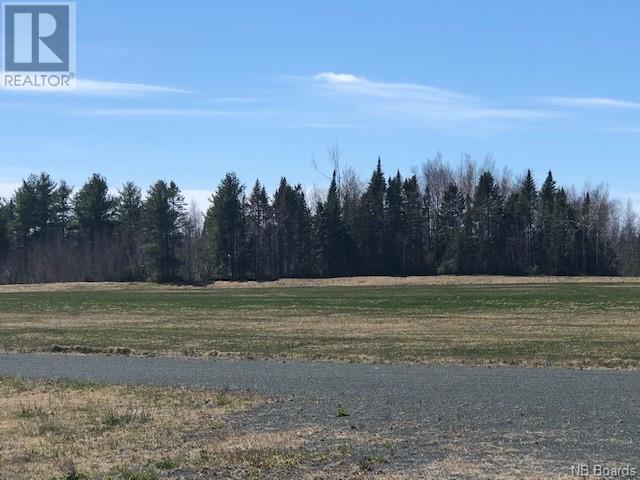 Wells Brook Road, Black River Bridge, New Brunswick  E1N 5S7 - Photo 12 - NB087617