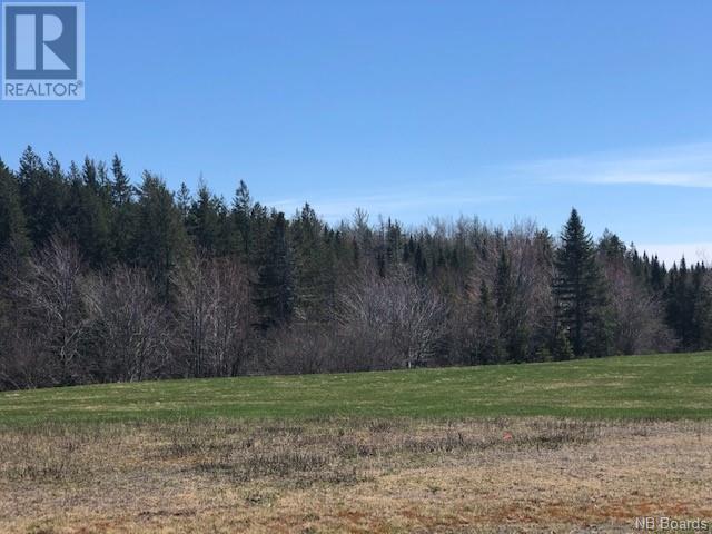 -- Wells Brook Road, Black River Bridge, New Brunswick  E1N 5S7 - Photo 13 - NB087617