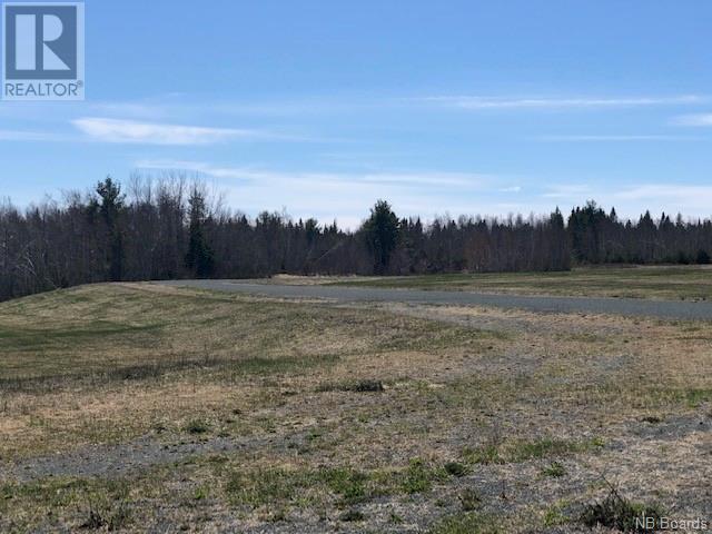 -- Wells Brook Road, Black River Bridge, New Brunswick  E1N 5S7 - Photo 14 - NB087617