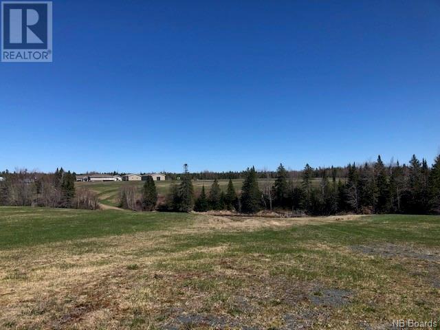 -- Wells Brook Road, Black River Bridge, New Brunswick  E1N 5S7 - Photo 17 - NB087617