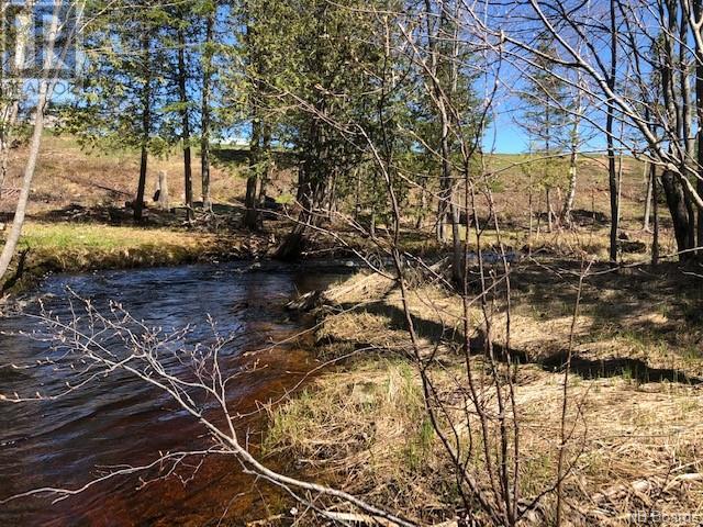 Wells Brook Road, Black River Bridge, New Brunswick  E1N 5S7 - Photo 2 - NB087617