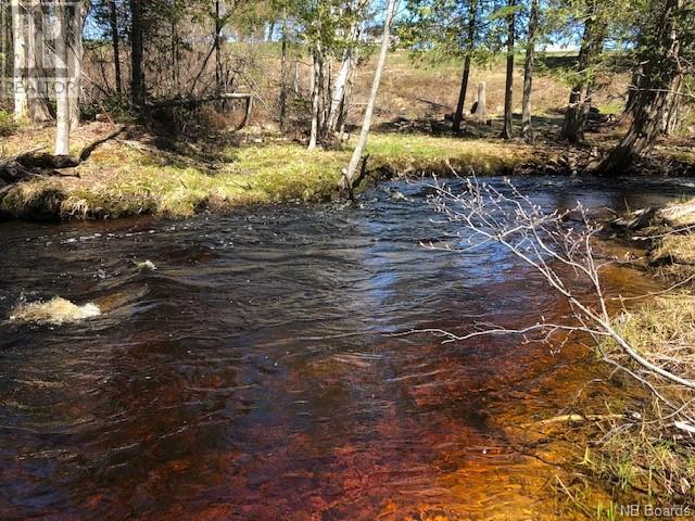 -- Wells Brook Road, Black River Bridge, New Brunswick  E1N 5S7 - Photo 4 - NB087617