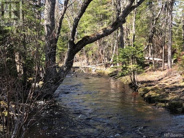 -- Wells Brook Road, Black River Bridge, New Brunswick  E1N 5S7 - Photo 6 - NB087617