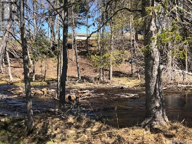 Wells Brook Road, Black River Bridge, New Brunswick  E1N 5S7 - Photo 7 - NB087617