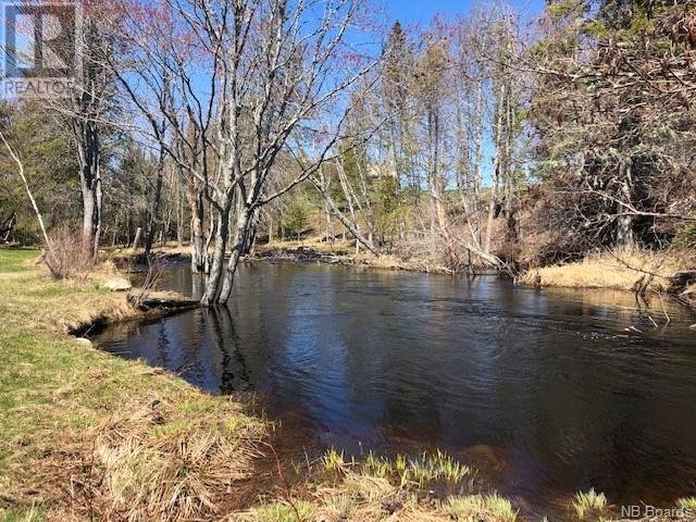 -- Wells Brook Road, Black River Bridge, New Brunswick  E1N 5S7 - Photo 8 - NB087617