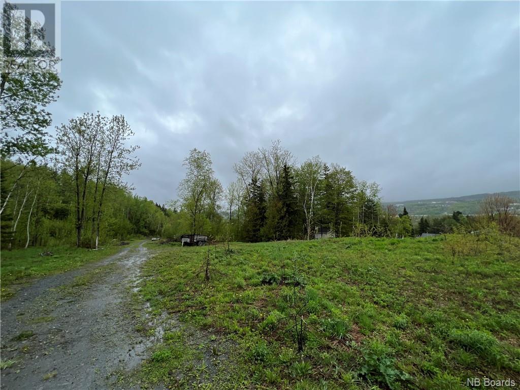 Lot 7 Guimond Avenue, Edmundston, New Brunswick  E3V 3Y9 - Photo 4 - NB087672